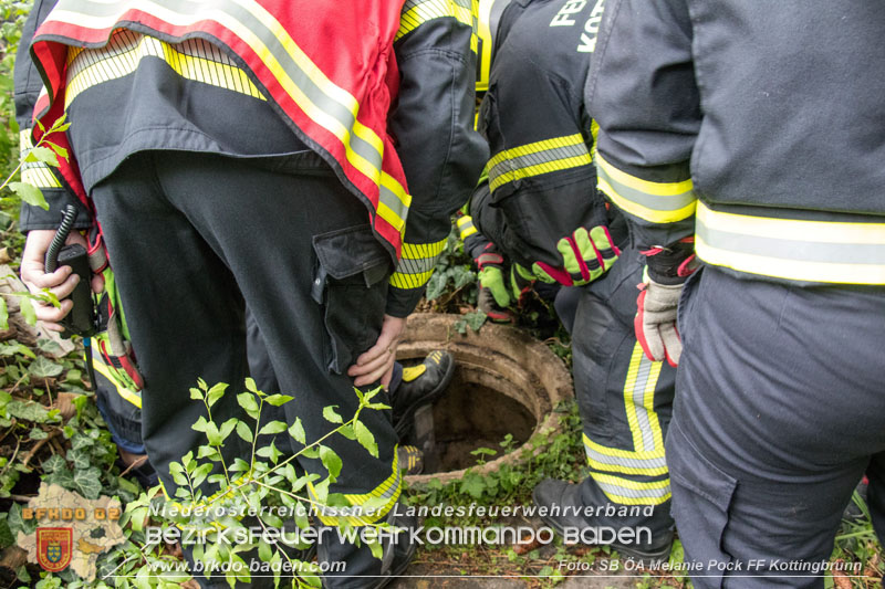 20250426_Hund Balu aus Brunnenschacht gerettet in Kottingbrunn   Foto: Melanie Pock FF Kottingbrunn