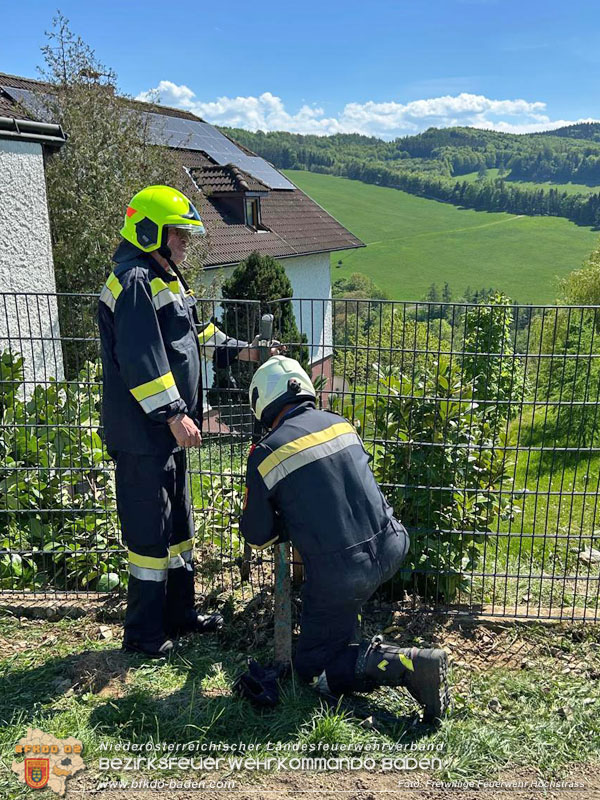 20250502_Menschenrettung aus verunfallten Wagen  Foto: Freiwillige Feuerwehr Hochstraß