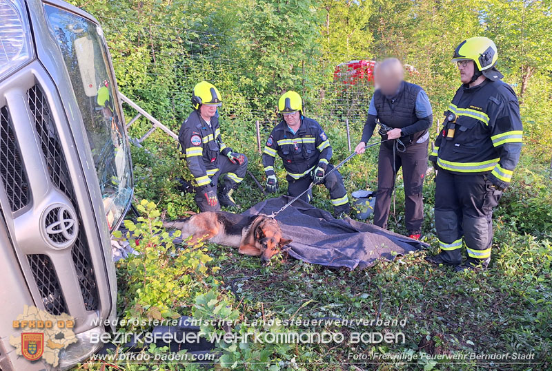 20250520_Langwierige Suche der Unfallstelle bei Berndorf  Foto: Florian Stadler FF Berndorf-Stadt