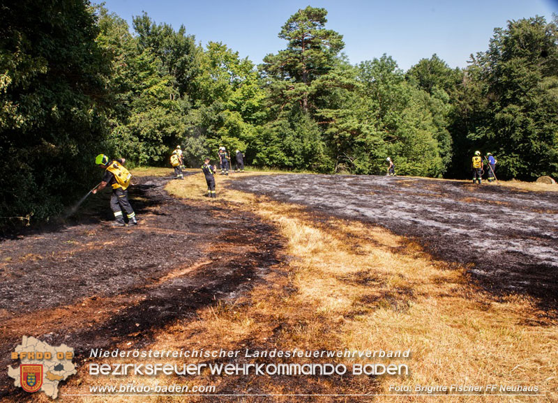 20250701_Brand auf einer Wiese direkt neben Waldgebiet in Schwarzensee  Foto: Brigitte Fischer FF Neuhaus
