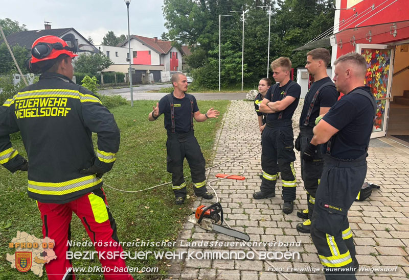 20250703_Tierrettungseinsatz unterbricht Motorsaegen-Schulung in Weigelsdorf  Foto: Freiwillige Feuerwehr Weigelsdorf