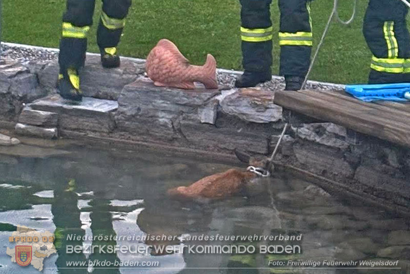 20250703_Tierrettungseinsatz unterbricht Motorsaegen-Schulung in Weigelsdorf  Foto: Freiwillige Feuerwehr Weigelsdorf