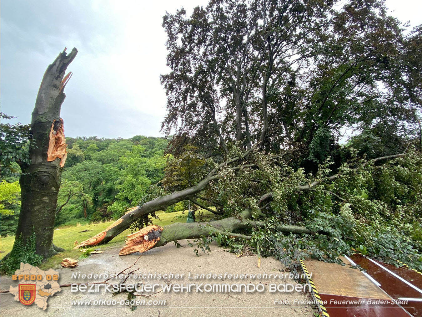 20250707_Der Tag nach dem Unwetter über der Stadt im Kurpark BADEN
