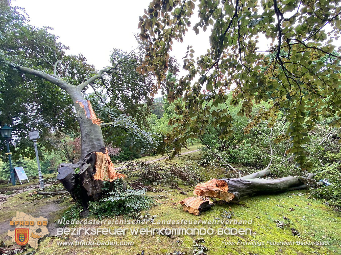 20250707_Der Tag nach dem Unwetter über der Stadt im Kurpark BADEN