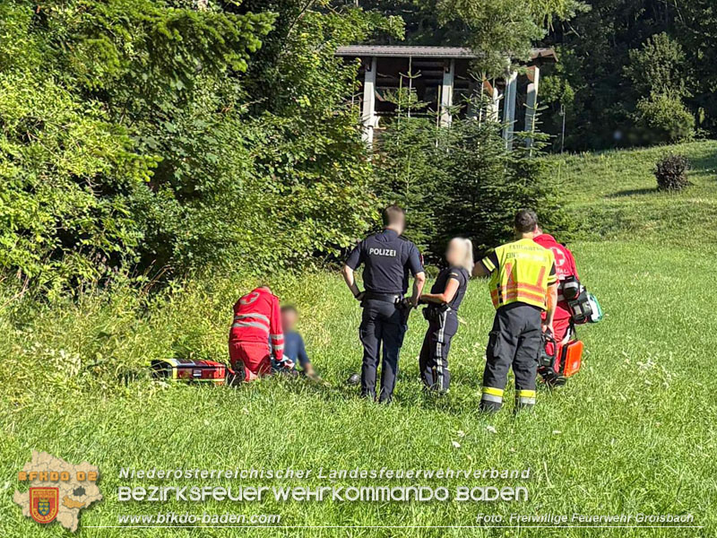 20250719_Erfolgreiche Personensuche nach Verkehrsunfall auf der LB11 Foto: Freiwillige Feuerwehr Groisbach 20250719_Erfolgreiche Personensuche nach Verkehrsunfall auf der LB11 Foto: Freiwillige Feuerwehr Groisbach