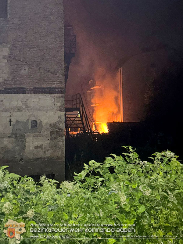 20250723_Brand griff auf Wohnung ueber in Mitterndorf an der Fischa 20250723_Brand griff auf Wohnung ueber in Mitterndorf an der Fischa