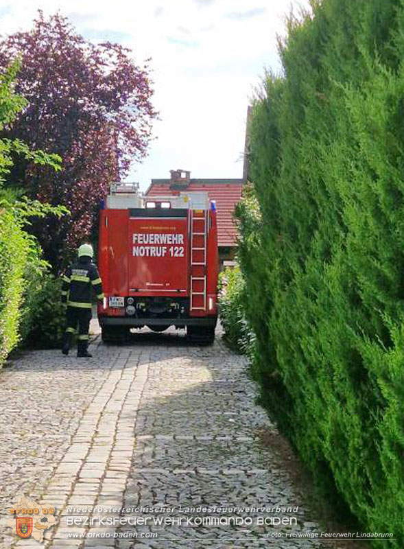 20250805_Rasche Entwarnung nach alarmierten Kellerbrand in Lindabrunn/Enzesfeld Foto: Freiwillige Feuerwehr Lindabrunn 20250805_Rasche Entwarnung nach alarmierten Kellerbrand in Lindabrunn/Enzesfeld Foto: Freiwillige Feuerwehr Lindabrunn