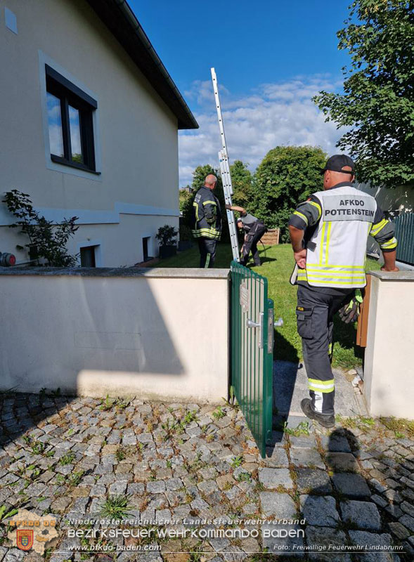 20250805_Rasche Entwarnung nach alarmierten Kellerbrand in Lindabrunn/Enzesfeld Foto: Freiwillige Feuerwehr Lindabrunn 20250805_Rasche Entwarnung nach alarmierten Kellerbrand in Lindabrunn/Enzesfeld Foto: Freiwillige Feuerwehr Lindabrunn