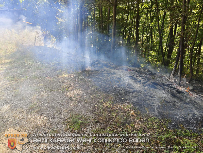 20250820_Zwei Flurbrände gerade noch rechtzeitig entdeckt!  Foto: Freiwillige Feuerwehr Maria Raisenmarkt