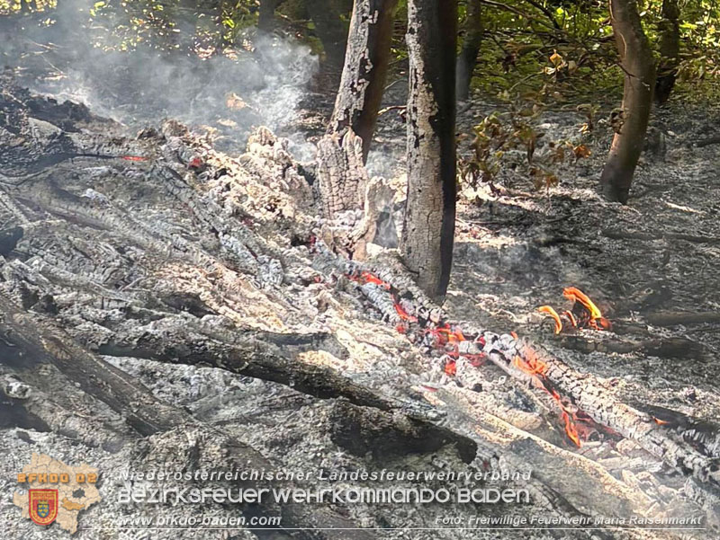 20250820_Zwei Flurbrände gerade noch rechtzeitig entdeckt!  Foto: Freiwillige Feuerwehr Maria Raisenmarkt