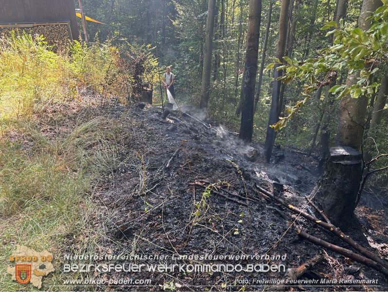 20250820_Zwei Flurbrände gerade noch rechtzeitig entdeckt!  Foto: Freiwillige Feuerwehr Maria Raisenmarkt