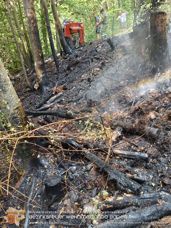 20250820_Zwei Flurbrände gerade noch rechtzeitig entdeckt!  Foto: Freiwillige Feuerwehr Maria Raisenmarkt
