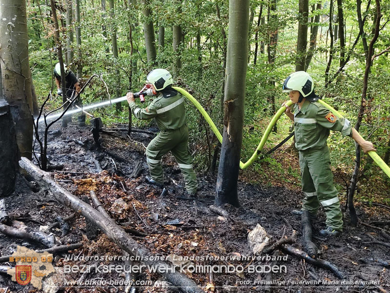 20250820_Zwei Flurbrände gerade noch rechtzeitig entdeckt!  Foto: Freiwillige Feuerwehr Maria Raisenmarkt