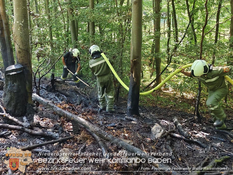 20250820_Zwei Flurbrände gerade noch rechtzeitig entdeckt!  Foto: Freiwillige Feuerwehr Maria Raisenmarkt