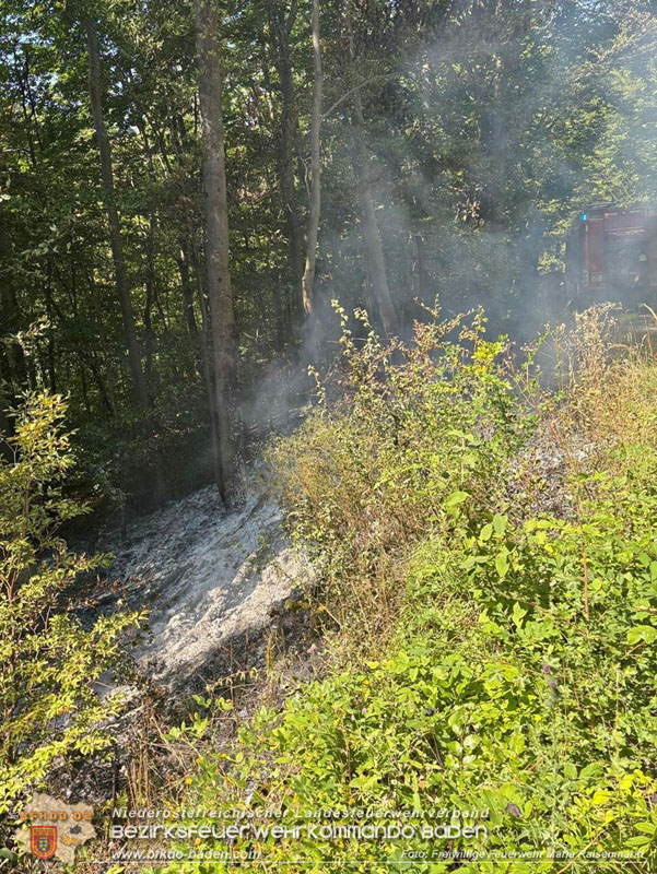 20250820_Zwei Flurbrände gerade noch rechtzeitig entdeckt!  Foto: Freiwillige Feuerwehr Maria Raisenmarkt