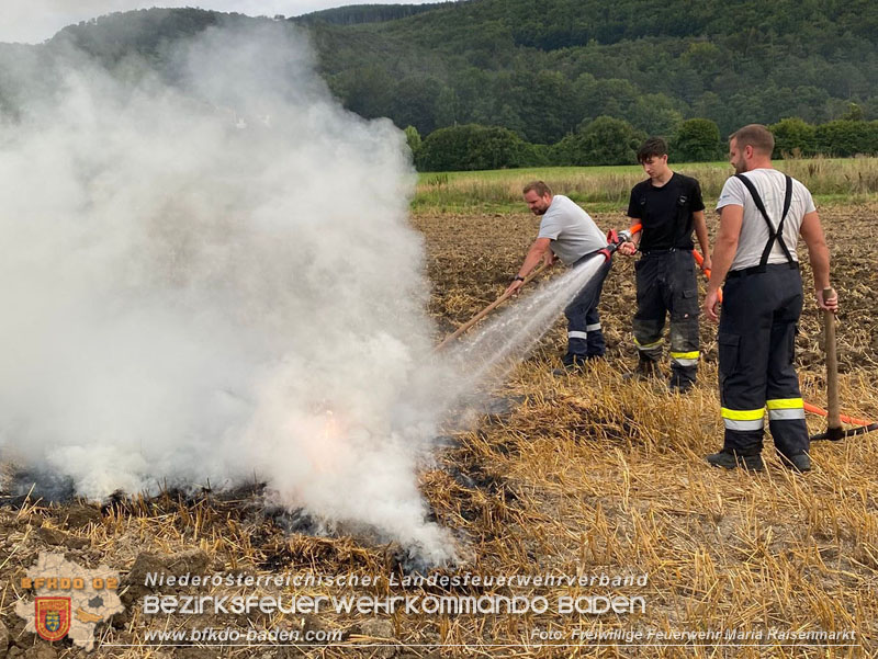 20250820_Zwei Flurbrände gerade noch rechtzeitig entdeckt!  Foto: Freiwillige Feuerwehr Maria Raisenmarkt