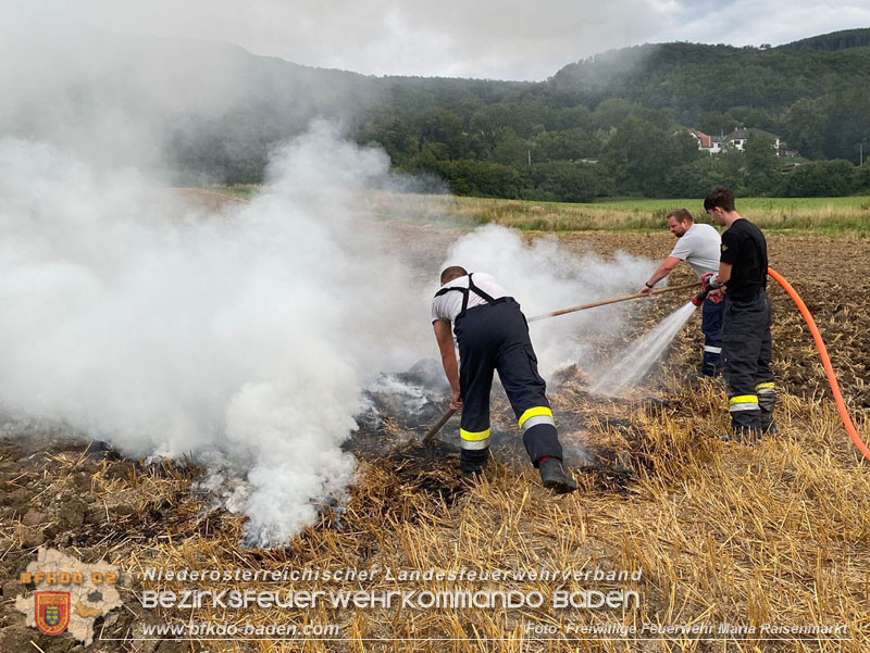 20250820_Zwei Flurbrände gerade noch rechtzeitig entdeckt!  Foto: Freiwillige Feuerwehr Maria Raisenmarkt