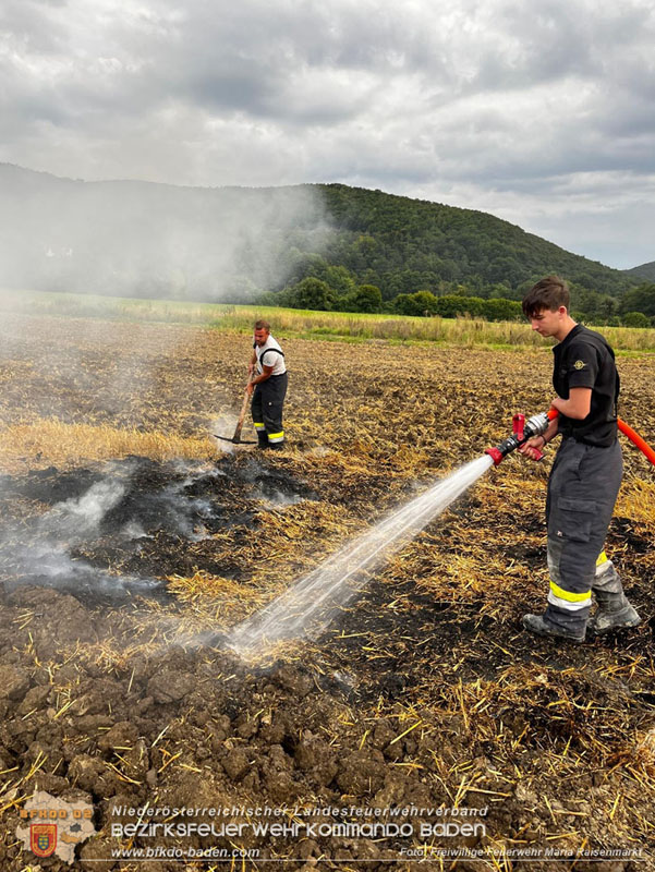 20250820_Zwei Flurbrände gerade noch rechtzeitig entdeckt!  Foto: Freiwillige Feuerwehr Maria Raisenmarkt