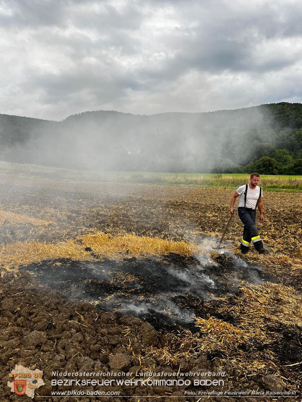 20250820_Zwei Flurbrände gerade noch rechtzeitig entdeckt!  Foto: Freiwillige Feuerwehr Maria Raisenmarkt