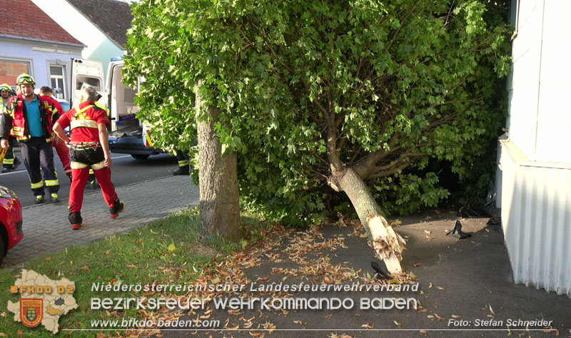 20250822_Pkw Lenkerin prallt im Ortsgebiet frontal gegen Baum Foto: Stefan Schneider BFKDO BADEN 20250822_Pkw Lenkerin prallt im Ortsgebiet frontal gegen Baum Foto: Stefan Schneider BFKDO BADEN