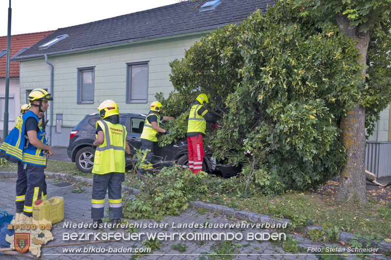 20250822_Pkw Lenkerin prallt im Ortsgebiet frontal gegen Baum Foto: Stefan Schneider BFKDO BADEN 20250822_Pkw Lenkerin prallt im Ortsgebiet frontal gegen Baum Foto: Stefan Schneider BFKDO BADEN