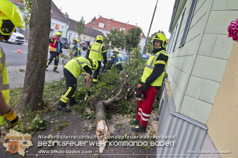 20250822_Pkw Lenkerin prallt im Ortsgebiet frontal gegen Baum Foto: Stefan Schneider BFKDO BADEN 20250822_Pkw Lenkerin prallt im Ortsgebiet frontal gegen Baum Foto: Stefan Schneider BFKDO BADEN