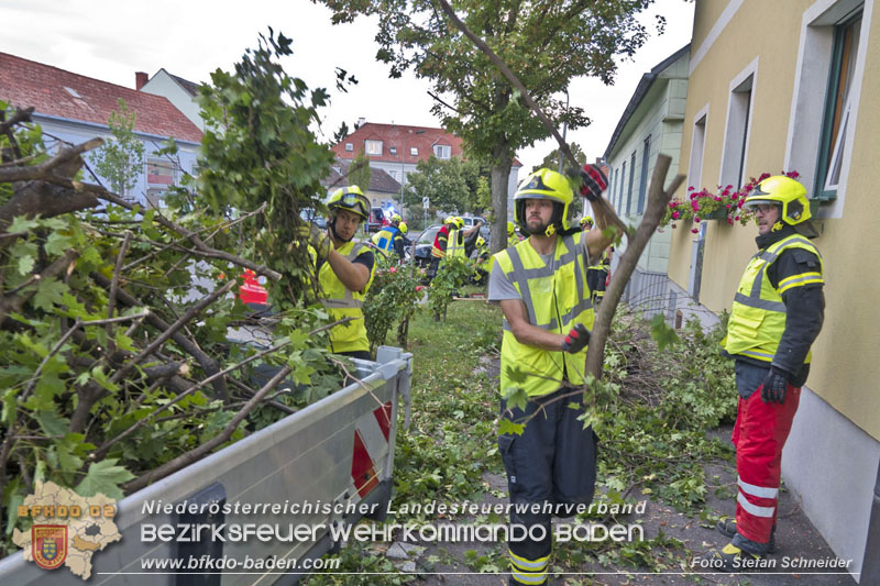 20250822_Pkw Lenkerin prallt im Ortsgebiet frontal gegen Baum Foto: Stefan Schneider BFKDO BADEN 20250822_Pkw Lenkerin prallt im Ortsgebiet frontal gegen Baum Foto: Stefan Schneider BFKDO BADEN