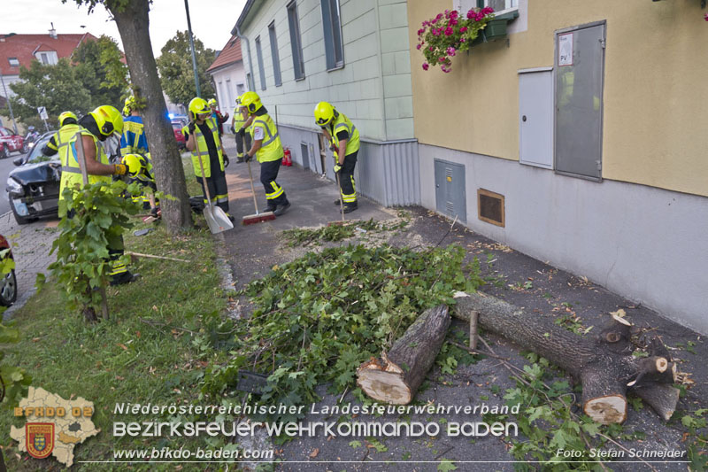 20250822_Pkw Lenkerin prallt im Ortsgebiet frontal gegen Baum Foto: Stefan Schneider BFKDO BADEN 20250822_Pkw Lenkerin prallt im Ortsgebiet frontal gegen Baum Foto: Stefan Schneider BFKDO BADEN