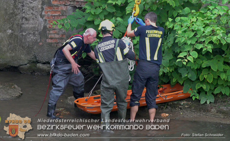2025_08_29 Personenrettung aus Schwechat-Fluss in Baden Foto: Stefan Schneider BFKDO BADEN 2025_08_29 Personenrettung aus Schwechat-Fluss in Baden Foto: Stefan Schneider BFKDO BADEN