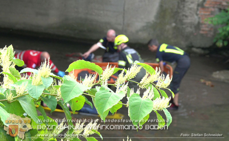 2025_08_29 Personenrettung aus Schwechat-Fluss in Baden Foto: Stefan Schneider BFKDO BADEN 2025_08_29 Personenrettung aus Schwechat-Fluss in Baden Foto: Stefan Schneider BFKDO BADEN