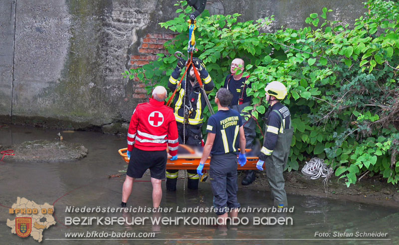 2025_08_29 Personenrettung aus Schwechat-Fluss in Baden Foto: Stefan Schneider BFKDO BADEN 2025_08_29 Personenrettung aus Schwechat-Fluss in Baden Foto: Stefan Schneider BFKDO BADEN