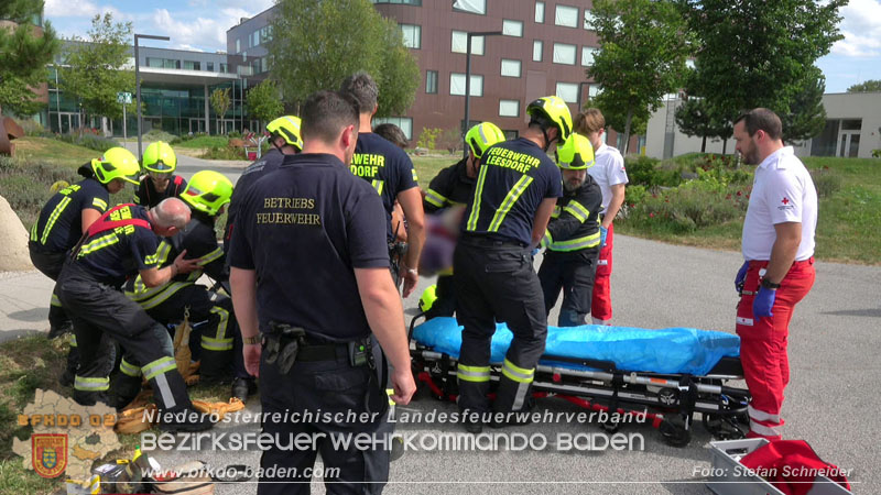 20250829_E-Rollstuhlfahrer kippt in Graben und muss gerettet werden Foto: Stefan Schneider BFKDO BADEN 20250829_E-Rollstuhlfahrer kippt in Graben und muss gerettet werden Foto: Stefan Schneider BFKDO BADEN