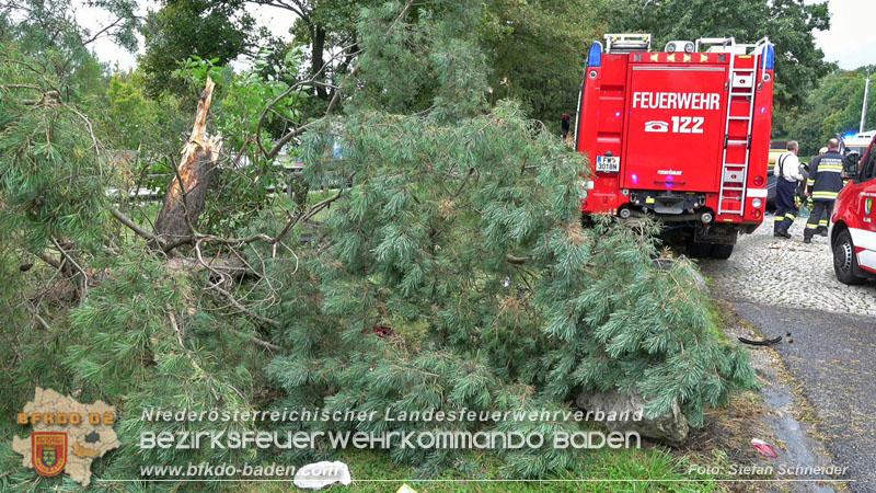 20250910_Verkehrsunfall auf der A21 mit tödlichem Ausgang Foto: Stefan Schneider BFKDO BADEN 20250910_Verkehrsunfall auf der A21 mit tödlichem Ausgang Foto: Stefan Schneider BFKDO BADEN