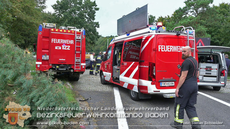 20250910_Verkehrsunfall auf der A21 mit tödlichem Ausgang Foto: Stefan Schneider BFKDO BADEN 20250910_Verkehrsunfall auf der A21 mit tödlichem Ausgang Foto: Stefan Schneider BFKDO BADEN