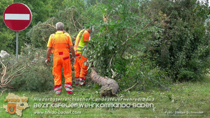 20250910_Verkehrsunfall auf der A21 mit tödlichem Ausgang Foto: Stefan Schneider BFKDO BADEN 20250910_Verkehrsunfall auf der A21 mit tödlichem Ausgang Foto: Stefan Schneider BFKDO BADEN