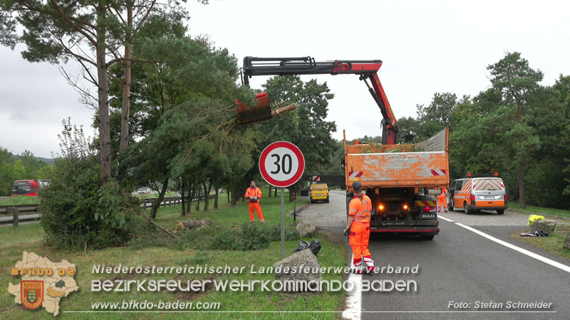 20250910_Verkehrsunfall auf der A21 mit tödlichem Ausgang   Foto: Stefan Schneider BFKDO BADEN