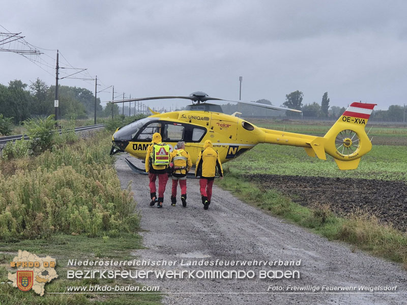 20250910_Menschenrettung nach Verkehrsunfall auf der L4049 Foto: Freiwillige Feuerwehr Weigelsdorf 20250910_Menschenrettung nach Verkehrsunfall auf der L4049 Foto: Freiwillige Feuerwehr Weigelsdorf