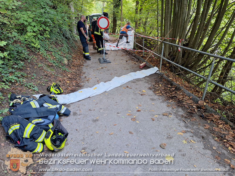 20250911_Felsblock droht auf die Geleise der Triestingtal Bahnstrecke zu stürzen - Kontrollierte Sprengung Foto: Freiwillige Feuerwehr Berndorf-Stadt / Florian Stadler