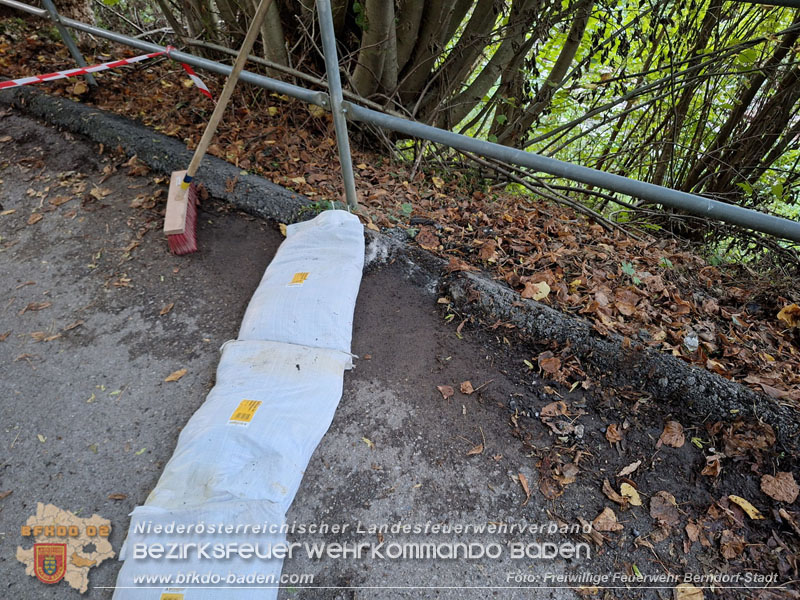20250911_Felsblock droht auf die Geleise der Triestingtal Bahnstrecke zu stürzen - Kontrollierte Sprengung Foto: Freiwillige Feuerwehr Berndorf-Stadt / Florian Stadler