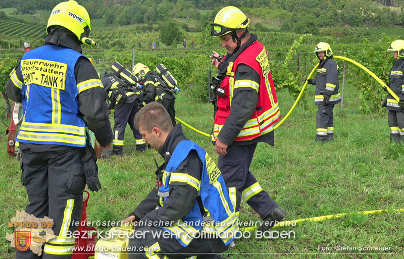 20250913_Brand eines Stromerzeugers in den Weingärten bei Pfaffstätten Foto: Stefan Schneider 20250913_Brand eines Stromerzeugers in den Weingärten bei Pfaffstätten Foto: Stefan Schneider