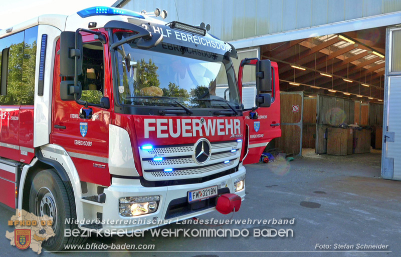 20251004_Pferd benötigt am "Welttierschutztag" die Hilfe der Feuerwehr Ebreichsdorf Foto: Stefan Schneider BFKDO BADEN 20251004_Pferd benötigt am "Welttierschutztag" die Hilfe der Feuerwehr Ebreichsdorf Foto: Stefan Schneider BFKDO BADEN