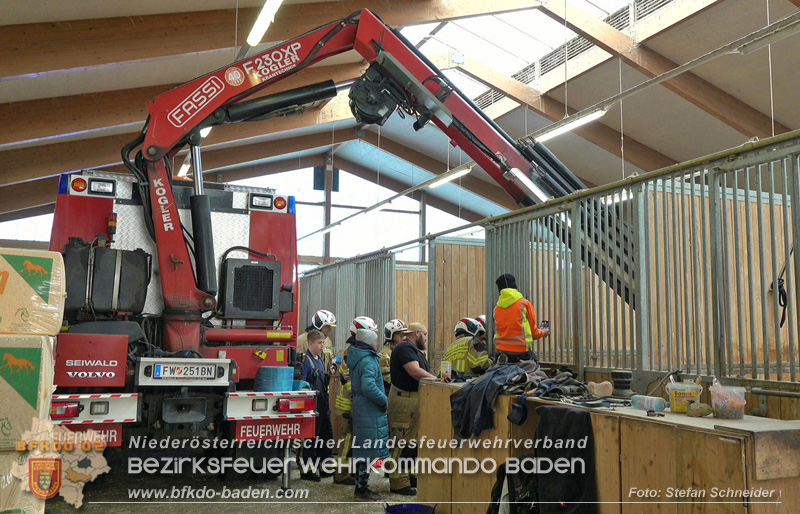20251004_Pferd benötigt am "Welttierschutztag" die Hilfe der Feuerwehr Ebreichsdorf Foto: Stefan Schneider BFKDO BADEN 20251004_Pferd benötigt am "Welttierschutztag" die Hilfe der Feuerwehr Ebreichsdorf Foto: Stefan Schneider BFKDO BADEN
