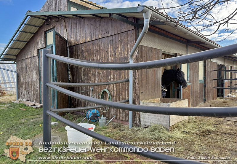 20251118_Notwasserversorgung für Pferde eines Reitstalls in Oberwaltersdorf   Foto: Stefan  Schneider BFKDO BADEN