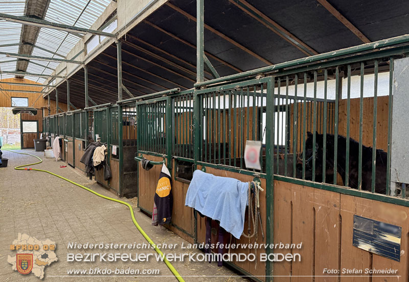 20251118_Notwasserversorgung für Pferde eines Reitstalls in Oberwaltersdorf   Foto: Stefan  Schneider BFKDO BADEN