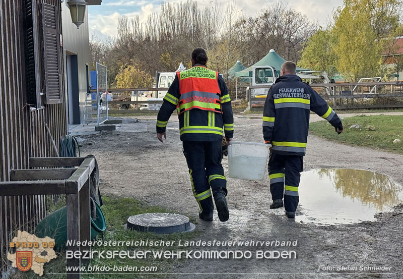 20251118_Notwasserversorgung für Pferde eines Reitstalls in Oberwaltersdorf   Foto: Stefan  Schneider BFKDO BADEN