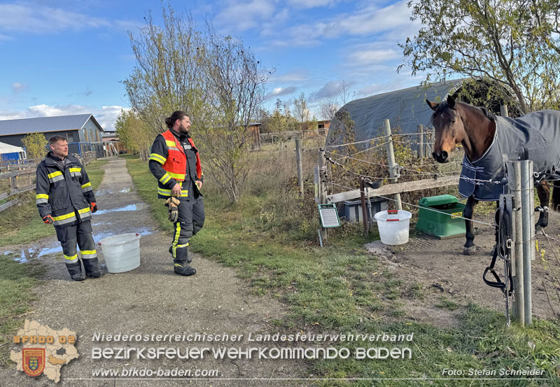 20251118_Notwasserversorgung für Pferde eines Reitstalls in Oberwaltersdorf   Foto: Stefan  Schneider BFKDO BADEN