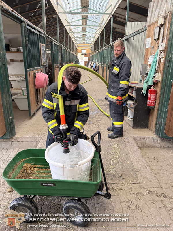 20251118_Notwasserversorgung für Pferde eines Reitstalls in Oberwaltersdorf   Foto: Stefan  Schneider BFKDO BADEN