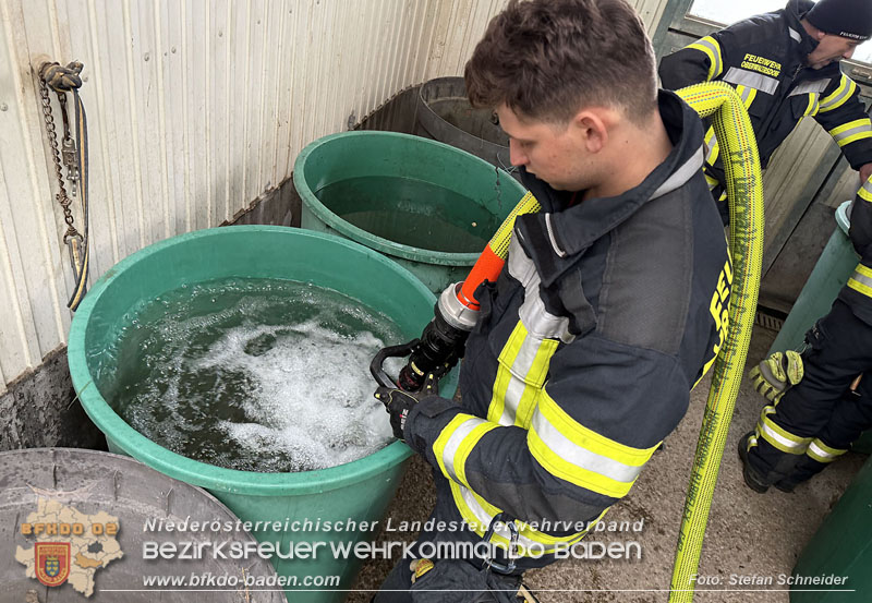 20251118_Notwasserversorgung für Pferde eines Reitstalls in Oberwaltersdorf   Foto: Stefan  Schneider BFKDO BADEN