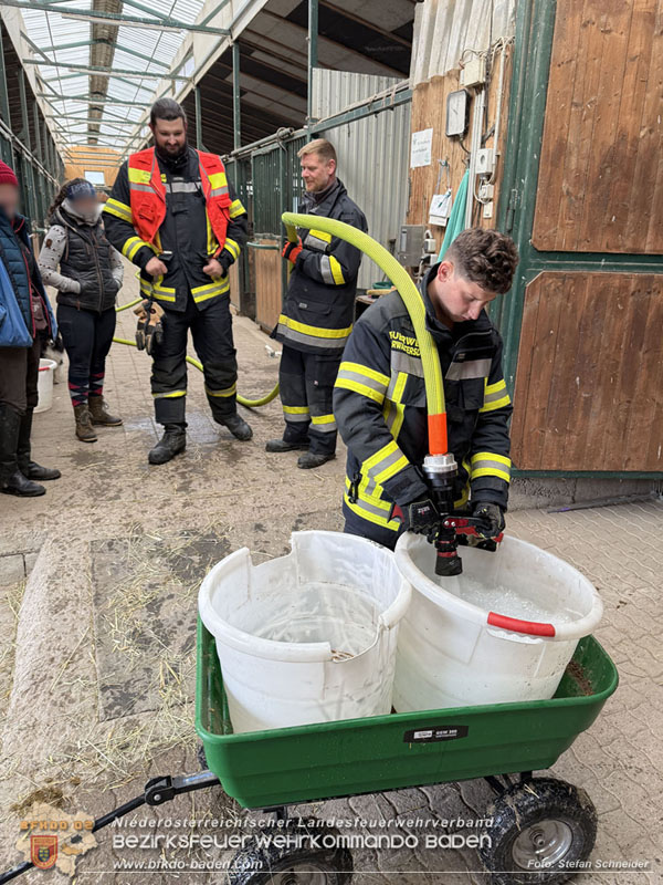 20251118_Notwasserversorgung für Pferde eines Reitstalls in Oberwaltersdorf   Foto: Stefan  Schneider BFKDO BADEN
