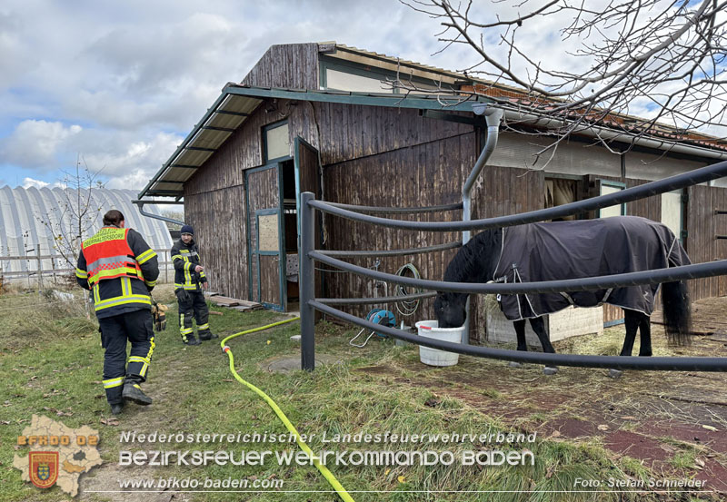 20251118_Notwasserversorgung für Pferde eines Reitstalls in Oberwaltersdorf   Foto: Stefan  Schneider BFKDO BADEN